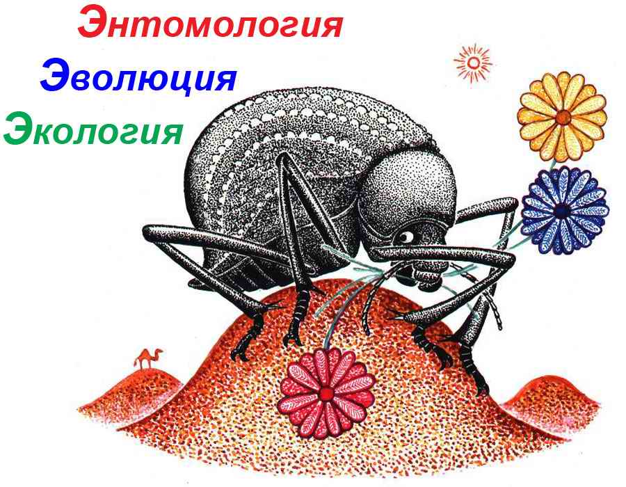 Энтомология. Специалист по насекомым. Кафедра энтомологии СПБГУ. Герб энтомолога. Обиженный муравей